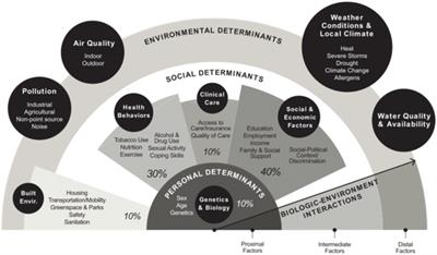 Global challenges in aging: insights from comparative biology and one health